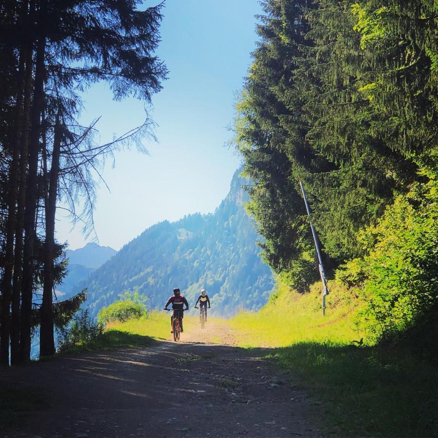 'Petite Ferme Les Bouts' Apt, sleeps 6, Nr Morzine La Cote d'Arbroz Extérieur photo