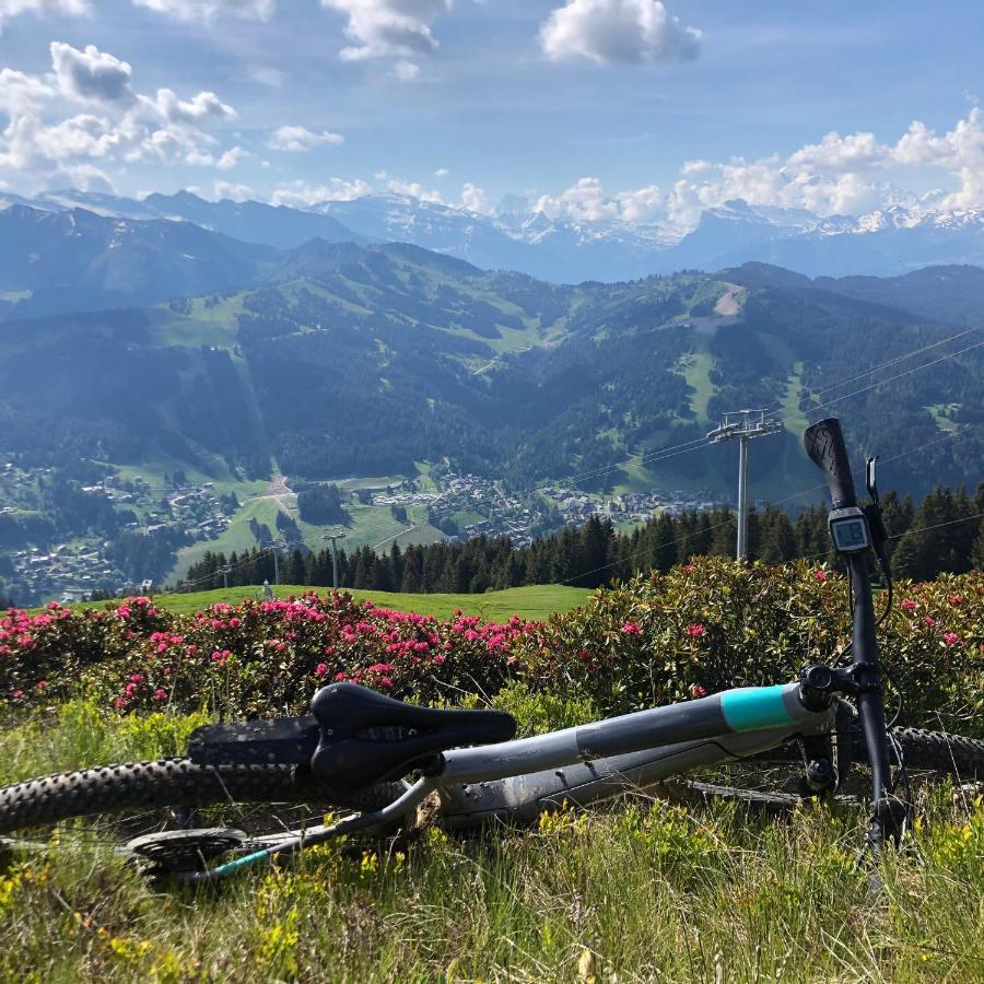'Petite Ferme Les Bouts' Apt, sleeps 6, Nr Morzine La Cote d'Arbroz Extérieur photo