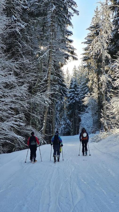'Petite Ferme Les Bouts' Apt, sleeps 6, Nr Morzine La Cote d'Arbroz Extérieur photo